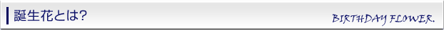 誕生花とは？