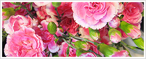 花束