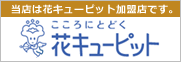 こころにとどく花キューピット